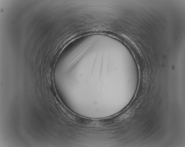 X0000081451265200702021733