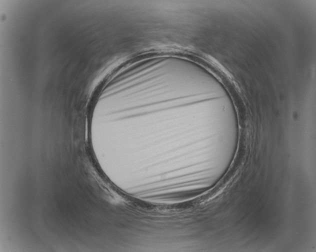 X0000081451269200702021733