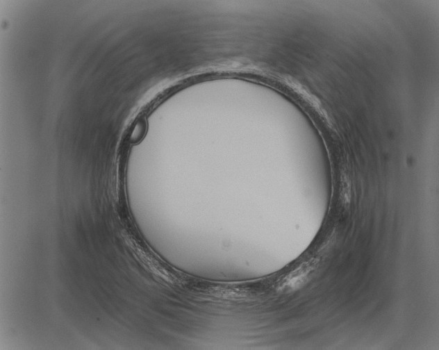 X0000081451270200702021733