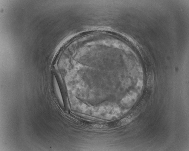 X0000081451271200702021733