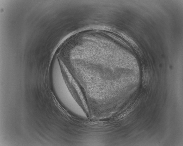 X0000081451272200702021733