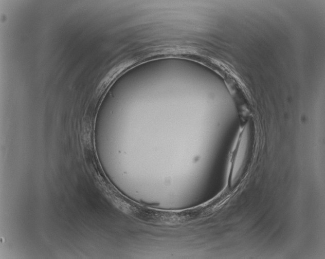 X0000081451273200702021733