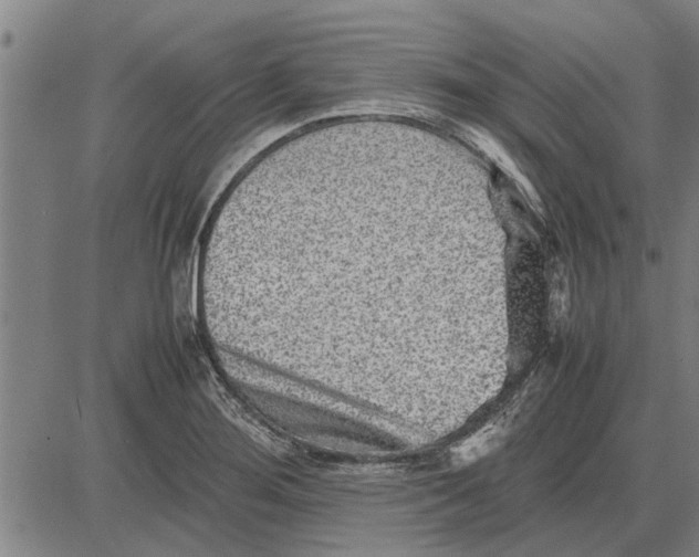 X0000081451276200702021733