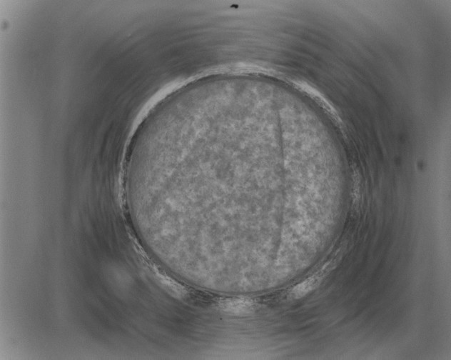 X0000081451278200702021733