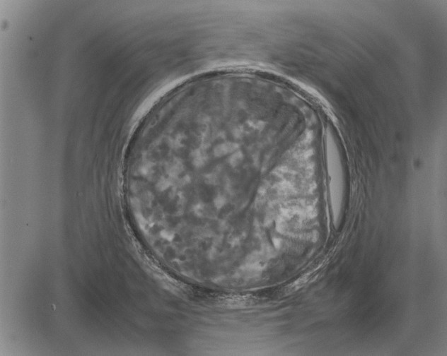 X0000081451279200702021733