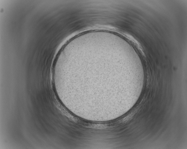 X0000081451280200702021733