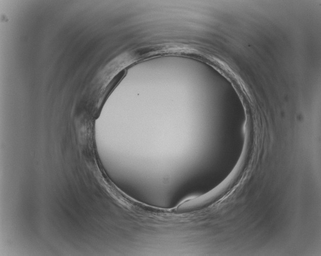 X0000081451281200702021733