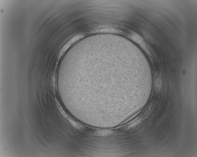 X0000081451282200702021733