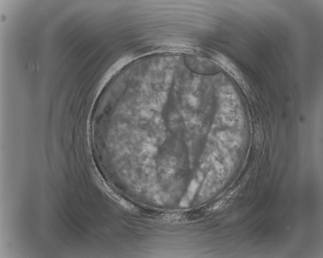 X0000081451283200702021733