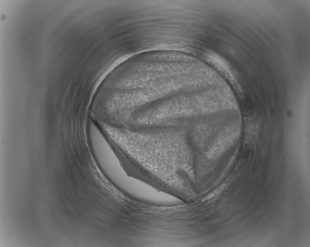 X0000081451284200702021733