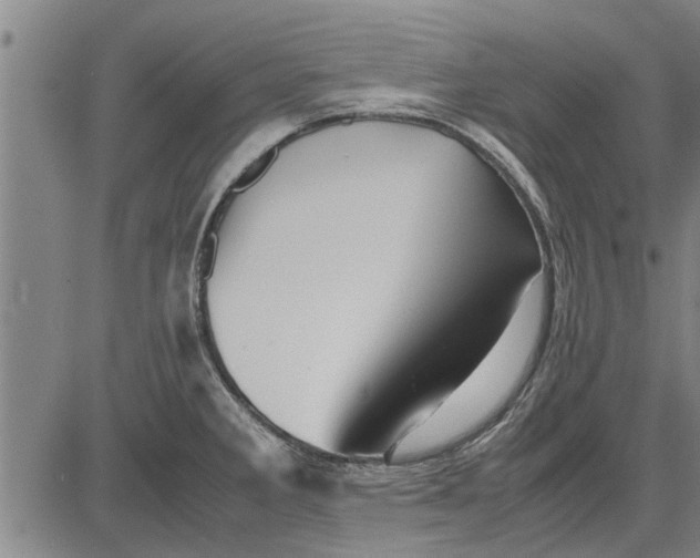 X0000081451285200702021733