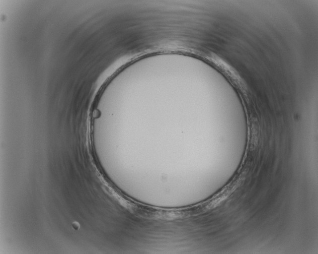 X0000081451286200702021733