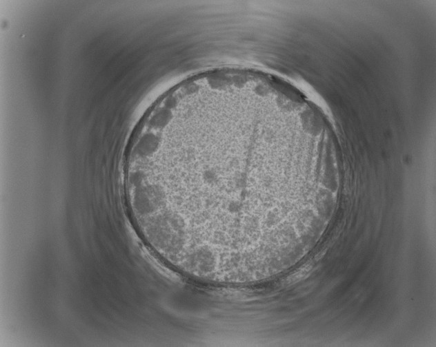 X0000081451287200702021733