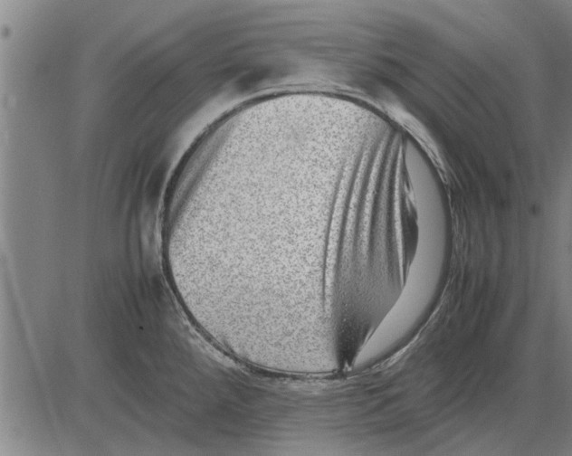 X0000081451288200702021733