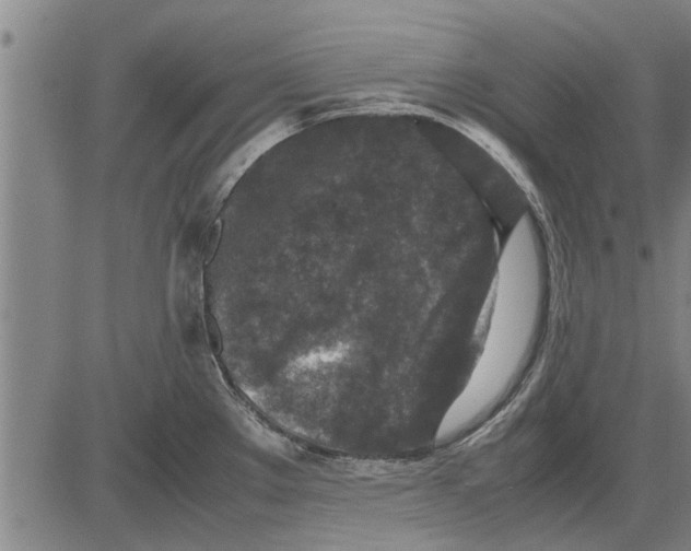 X0000081451289200702021733