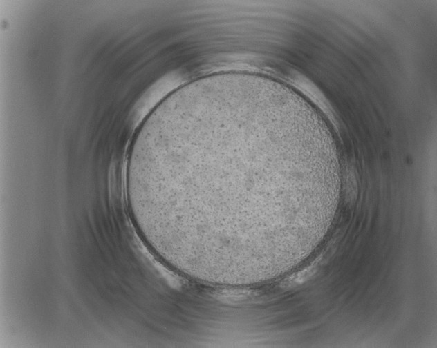 X0000081451290200702021733