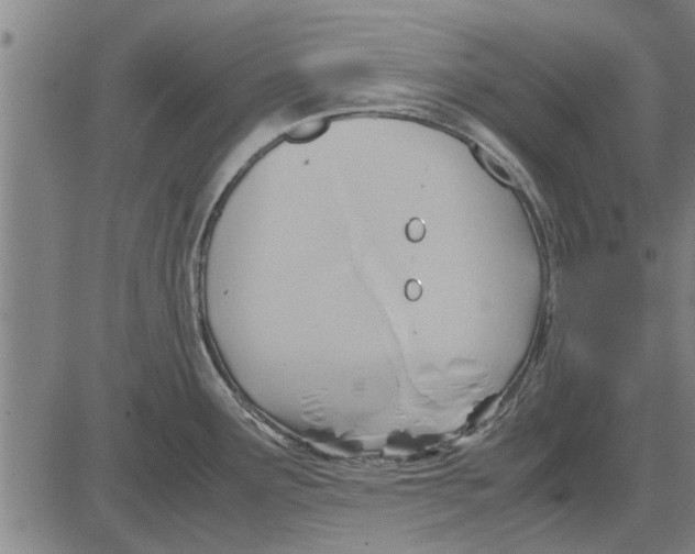 X0000081451291200702021733