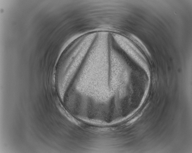 X0000081451292200702021733