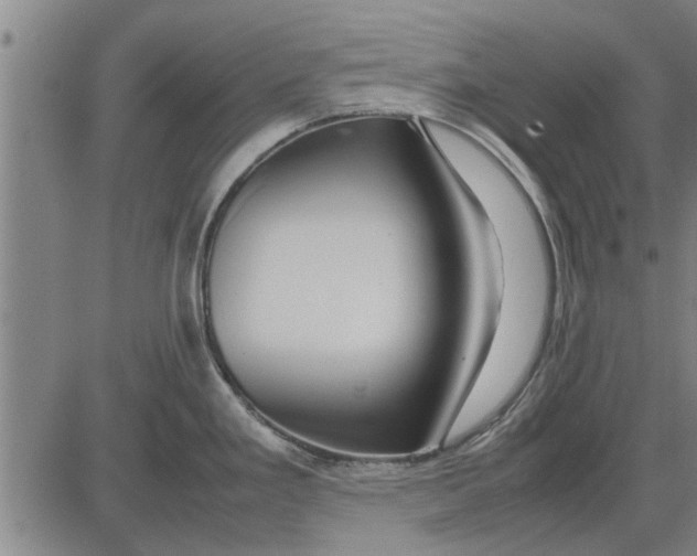 X0000081451293200702021733