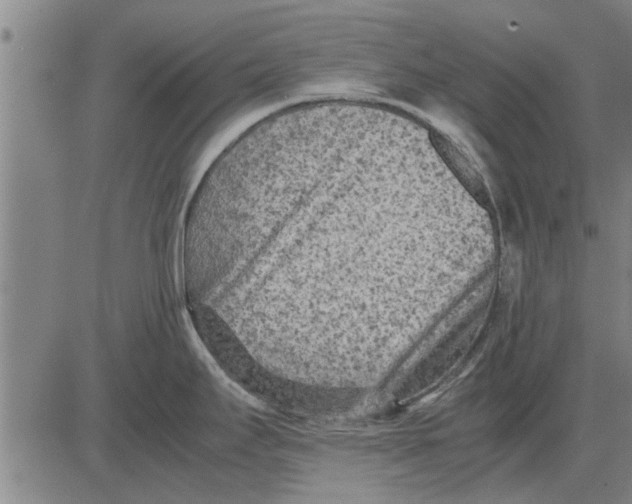 X0000081451295200702021733