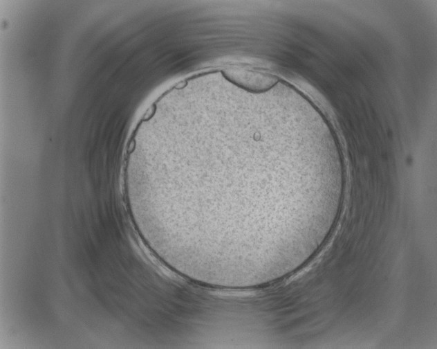 X0000081451296200702021733