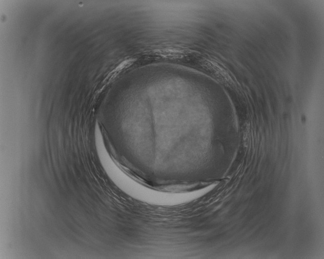 X0000081451298200702021732