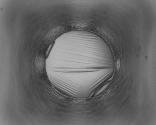 X0000081451299200702021732