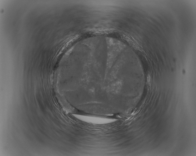 X0000081451300200702021732