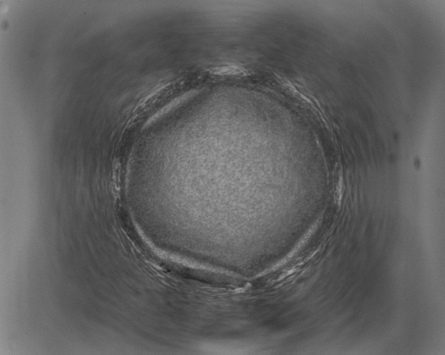 X0000081451301200702021732