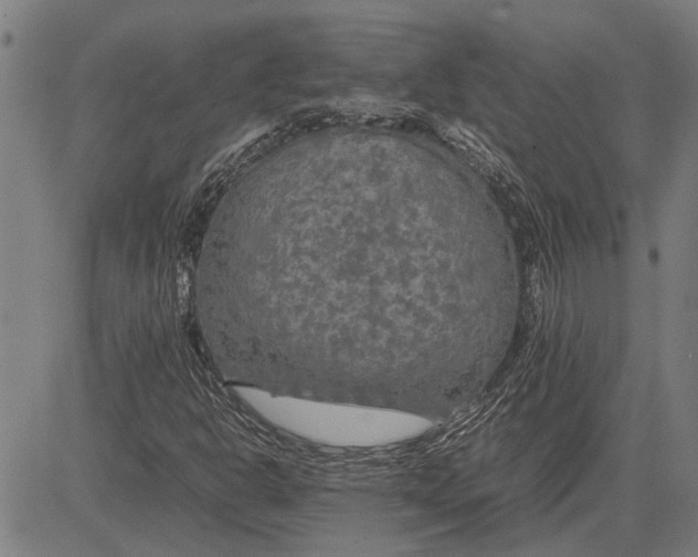 X0000081451302200702021732