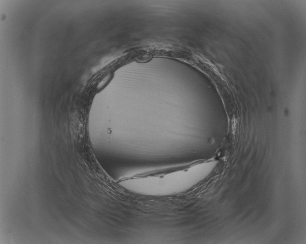 X0000081451303200702021732