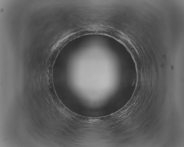 X0000081451304200702021732