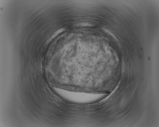 X0000081451305200702021732