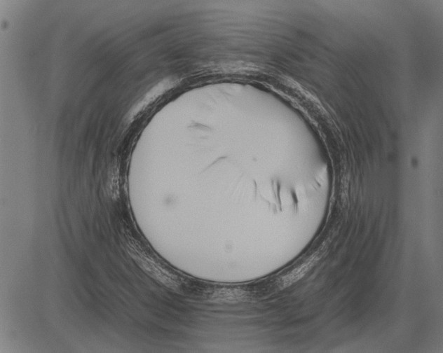 X0000081451306200702021732