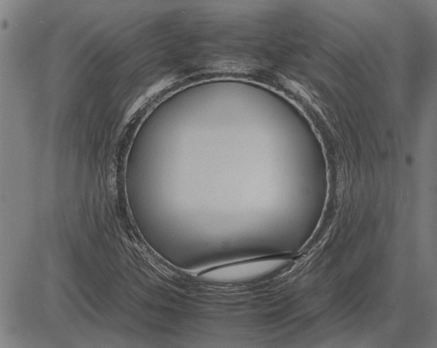 X0000081451307200702021732