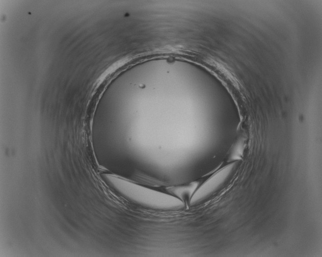 X0000081451308200702021732