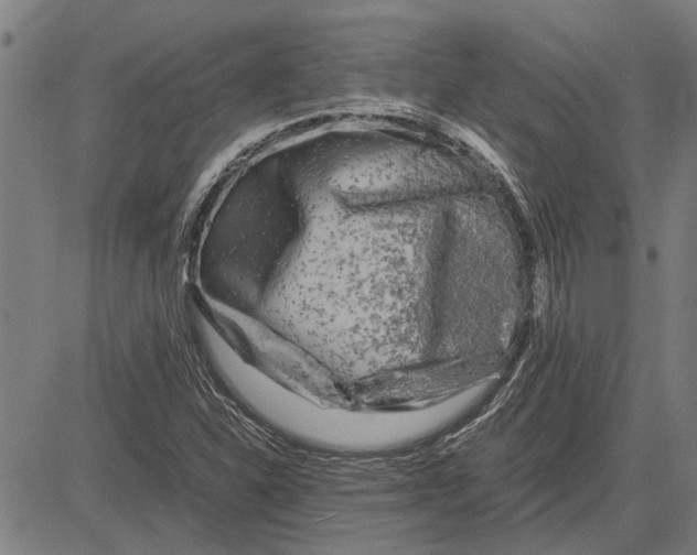 X0000081451310200702021732