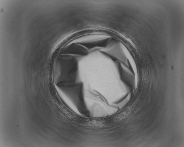 X0000081451311200702021732