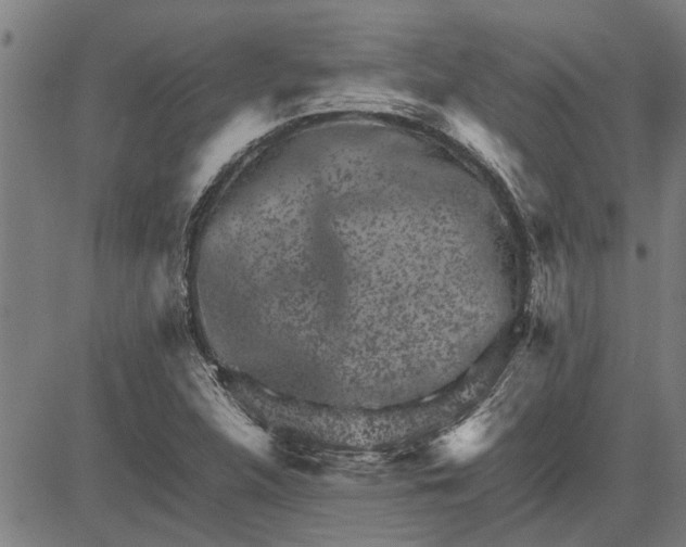 X0000081451312200702021732