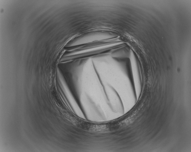 X0000081451313200702021732