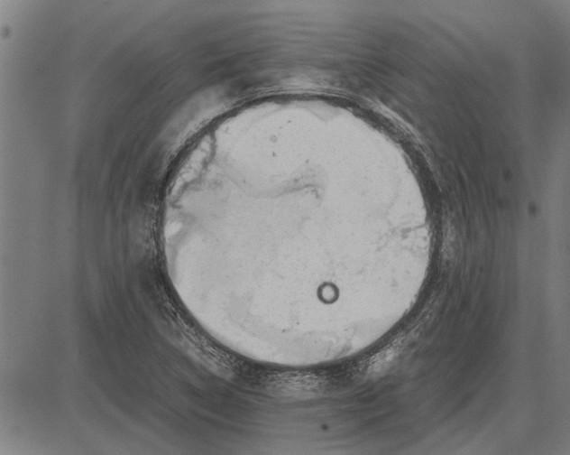 X0000081451314200702021732