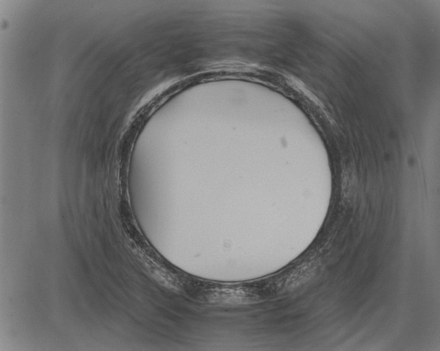 X0000081451315200702021732