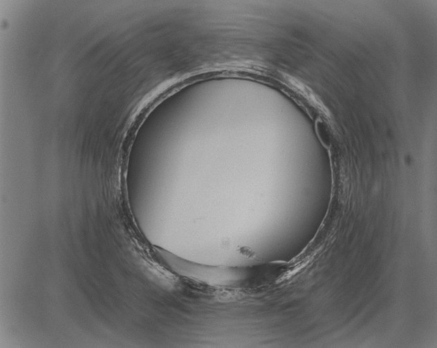 X0000081451316200702021732