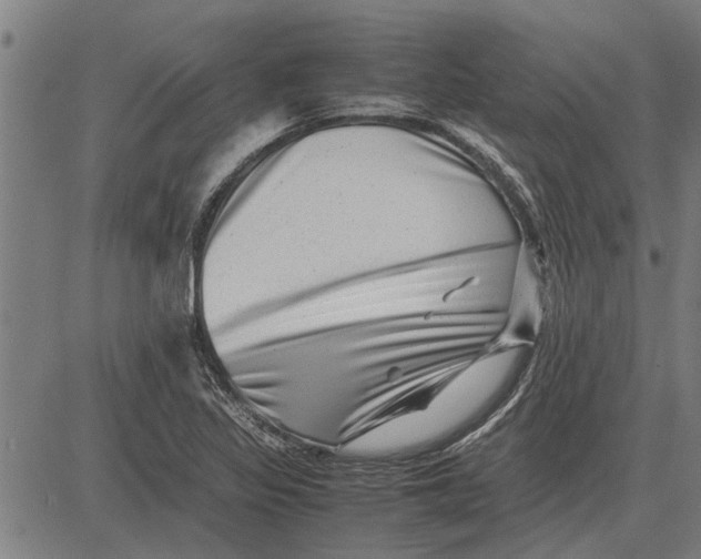 X0000081451317200702021732