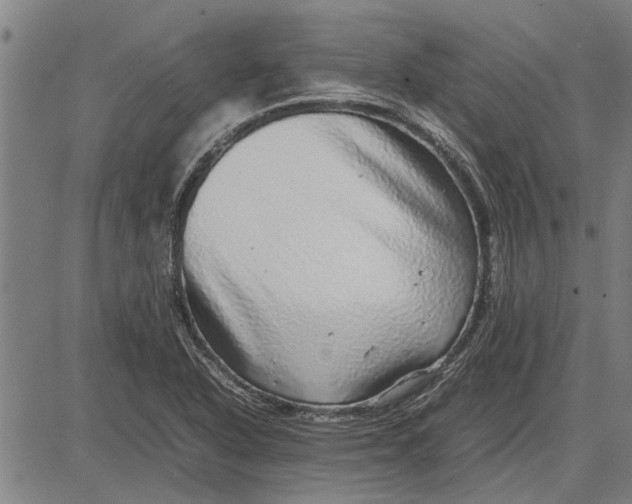 X0000081451318200702021732