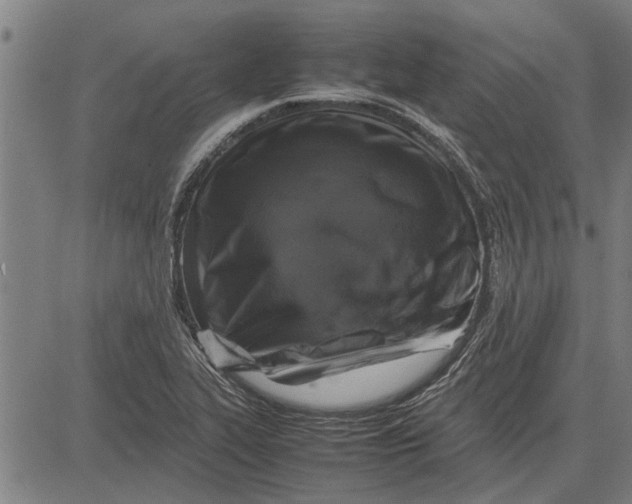 X0000081451319200702021732