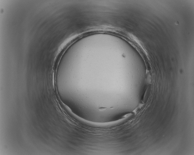 X0000081451320200702021732