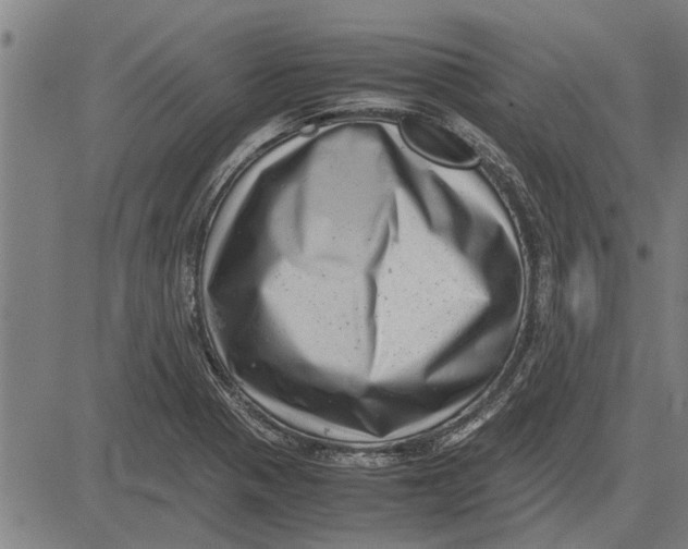 X0000081451321200702021732