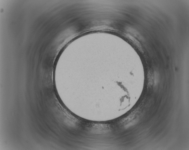 X0000081451322200702021732