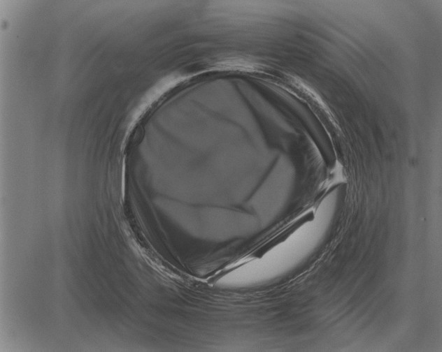 X0000081451323200702021732